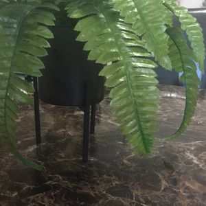 Meet your Posher, Karina